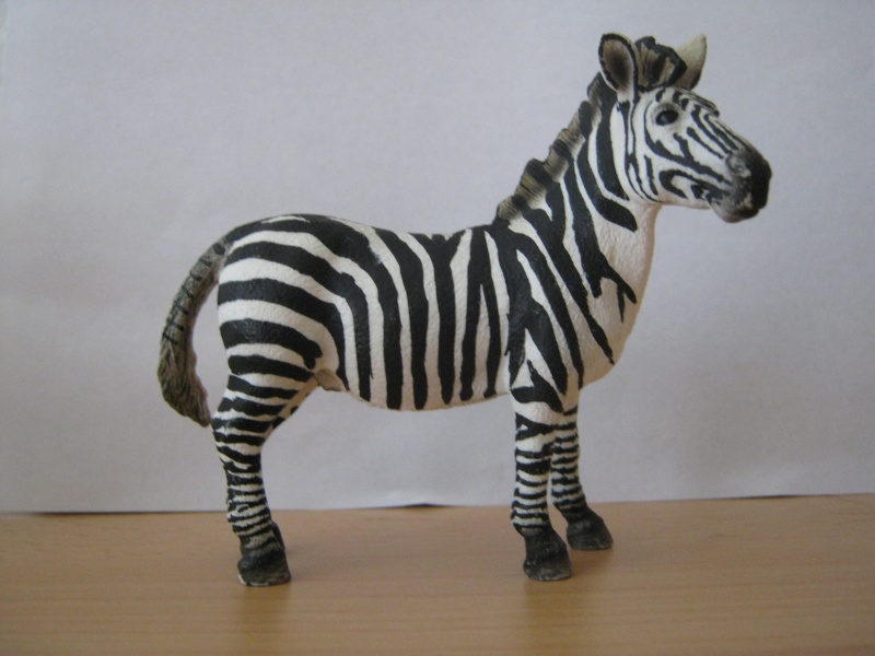 My new models of the last weeks - Page 9 Zebra_10