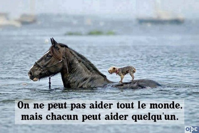 Point sur la situation Mai 2014 On_ne_10