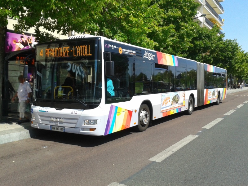 [Angers] : Réseau Irigo 20140811