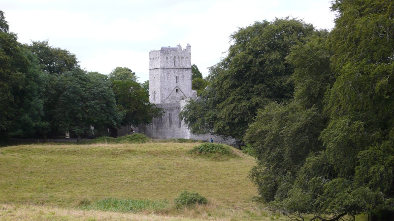 LE WATSO EN CASTILLE , ET IRLANDE . Irland21