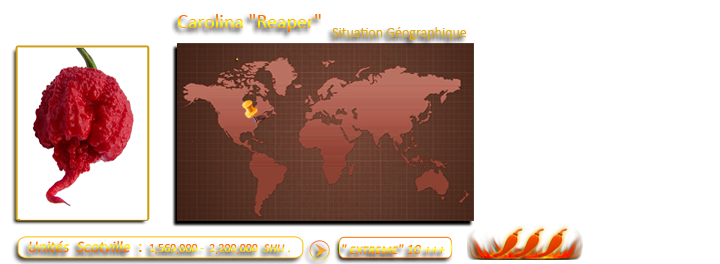 Carolina Reaper : le piment le plus fort du monde Base-f11