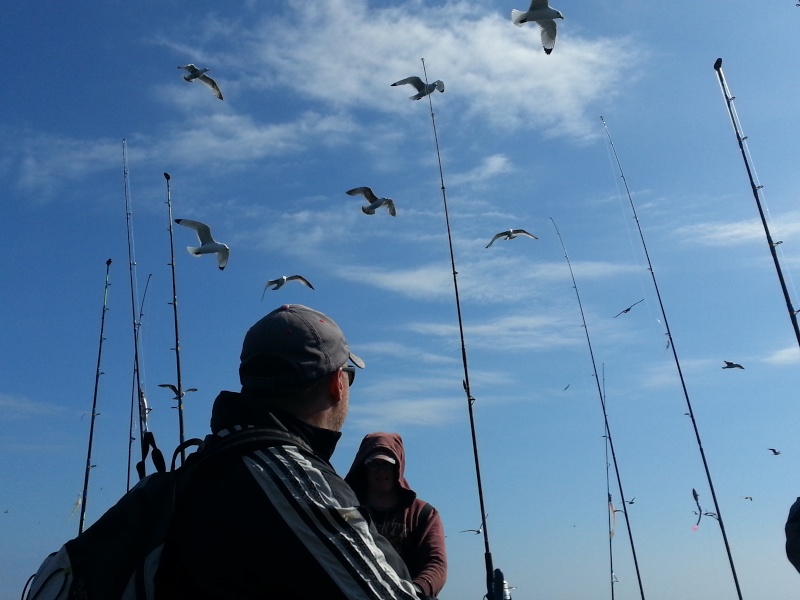 Voyage de "pêche" en Irlande 20140522