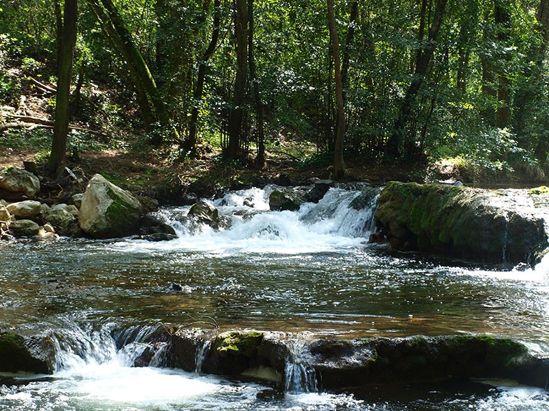 Vallée de la Brague (06) P1016410