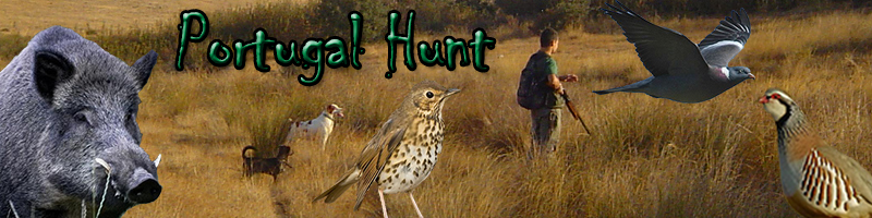 Portugal Hunt