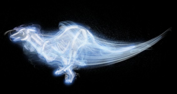 [Images] La Galerie des Patronus Patron22