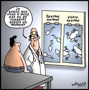 humour - Page 22 Blg14010