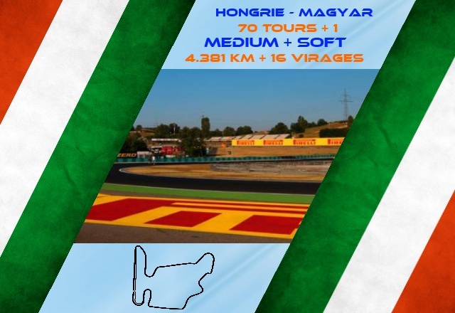 11 (LIGUE B) - Hongrie Hungaroring - Dimanche 7 Septembre 2014 Hongri10