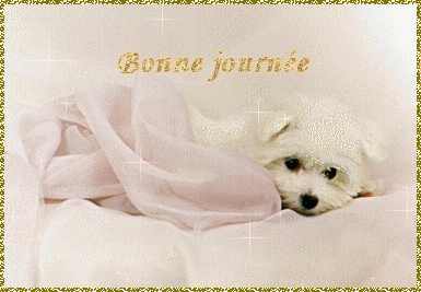 Cairn de juin 2014 - Page 7 Chien_10