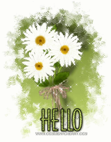 Cairn de juin 2014 - Page 6 Hello110