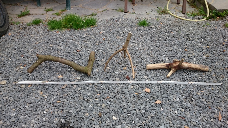 Traitement grosse racine 2014-028