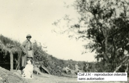 Les chiens de guerre en France . 149-ri13