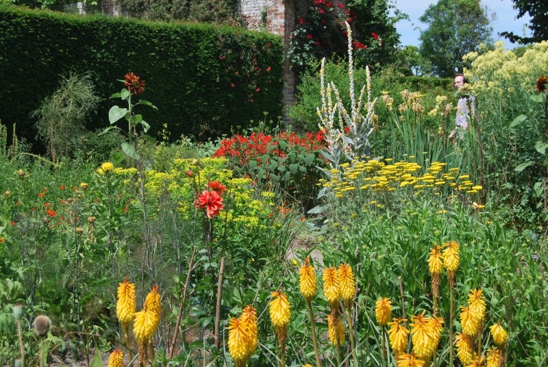 sissinghurst castle - Page 2 2014-126