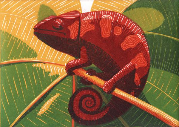 chameleon-daniel-ribeiro Chamel11