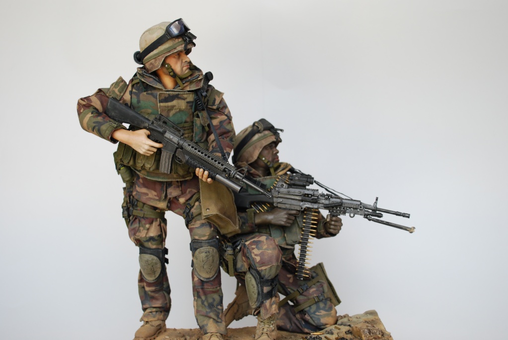 usmc TASK FORCE TARAWA nasiriyah 2003 Dsc_0011