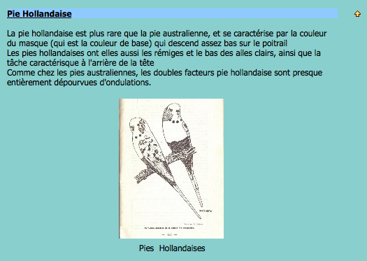 ♥ Pipotte et Saxo ♥ - Page 2 Captur16