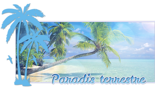 [Résultats] SO2W #20 : Les îles paradisiaques Paradi11