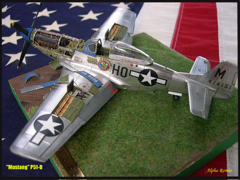 [TAMIYA] 1/48 - NORTH AMERICAN P51-D MUSTANG Dscn0510