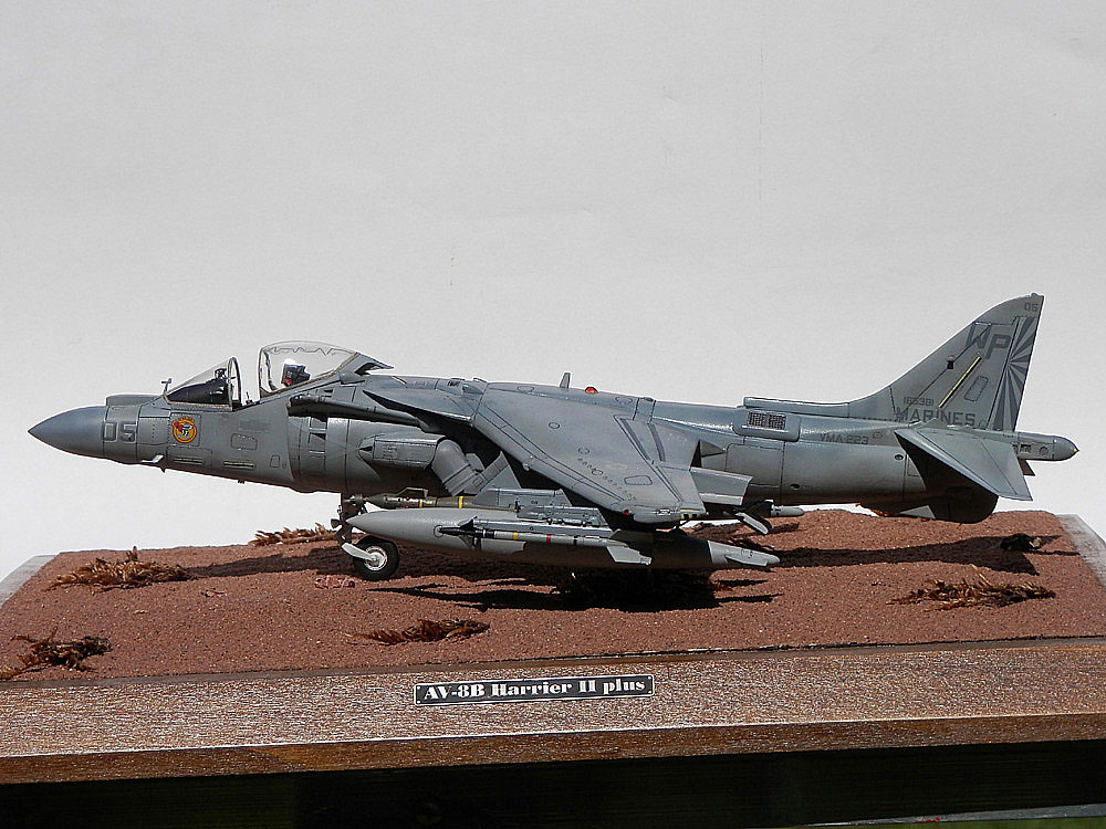 AV-8B "Harrier II Plus" P6161110