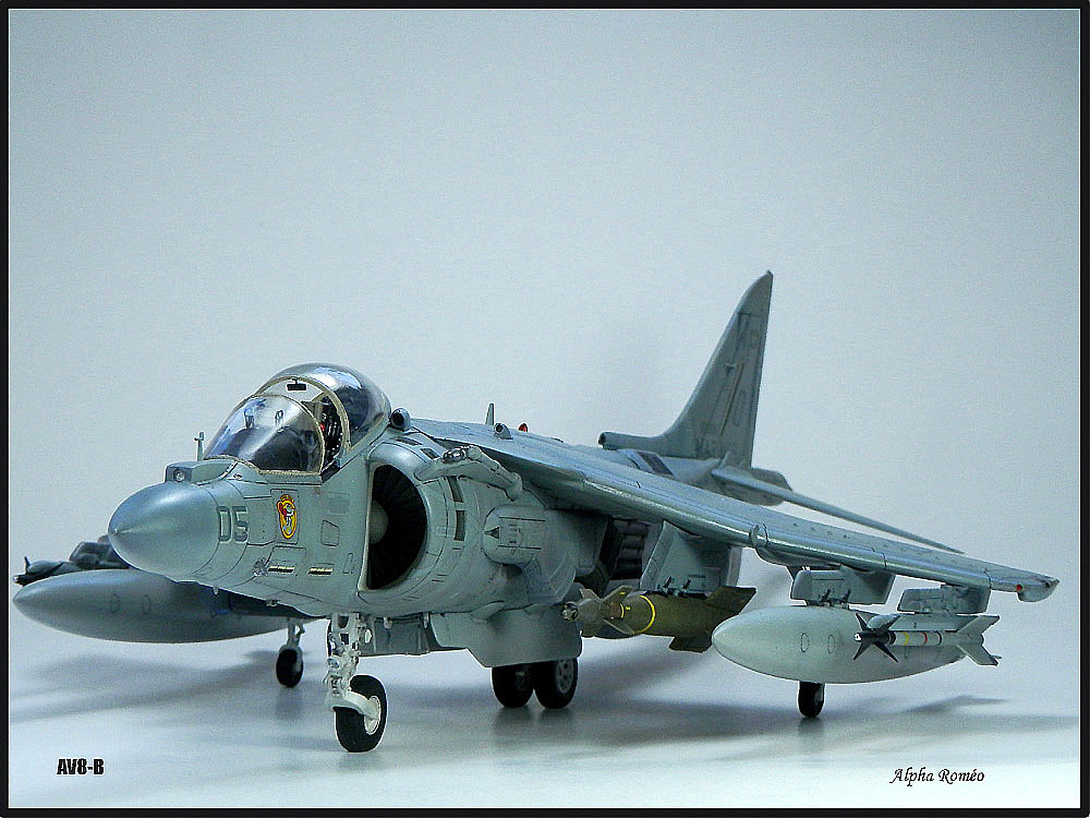 AV-8B "Harrier II Plus" P6221613