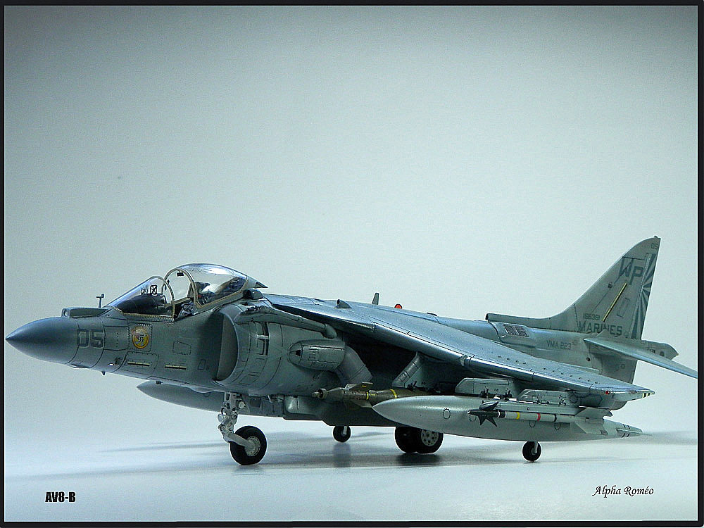 AV-8B "Harrier II Plus" P6221615