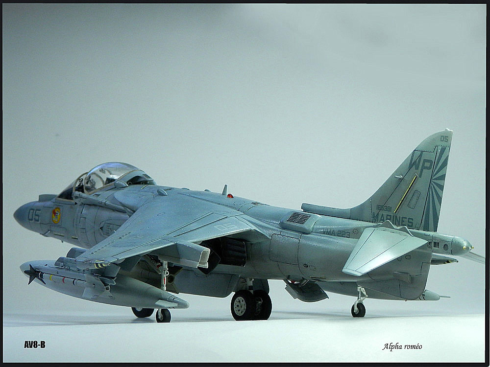 AV-8B "Harrier II Plus" P6221616