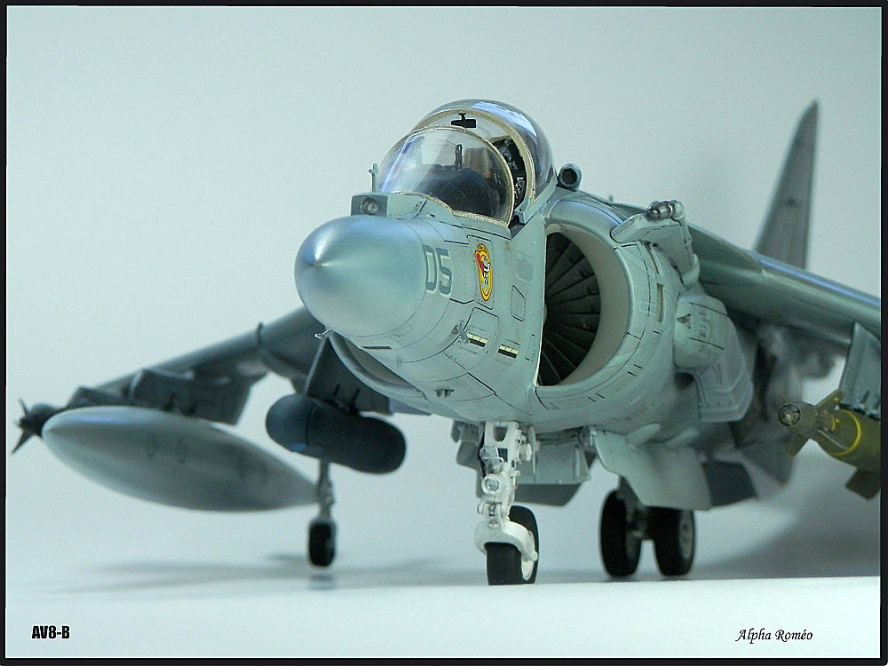 AV-8B "Harrier II Plus" P6221618