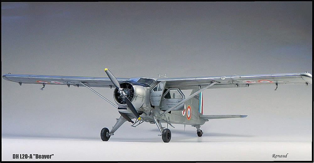 [HOBBYCRAFT] De Havilland Canada L-20A "Beaver" en Indochine  1/48 P9061713