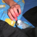 Timoti alias Titi Pb080011