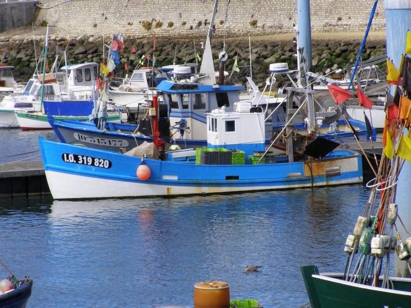 l'ile lumineuse Pa010610