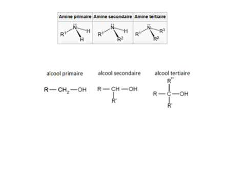 fonction amine et alcool secondaire ect