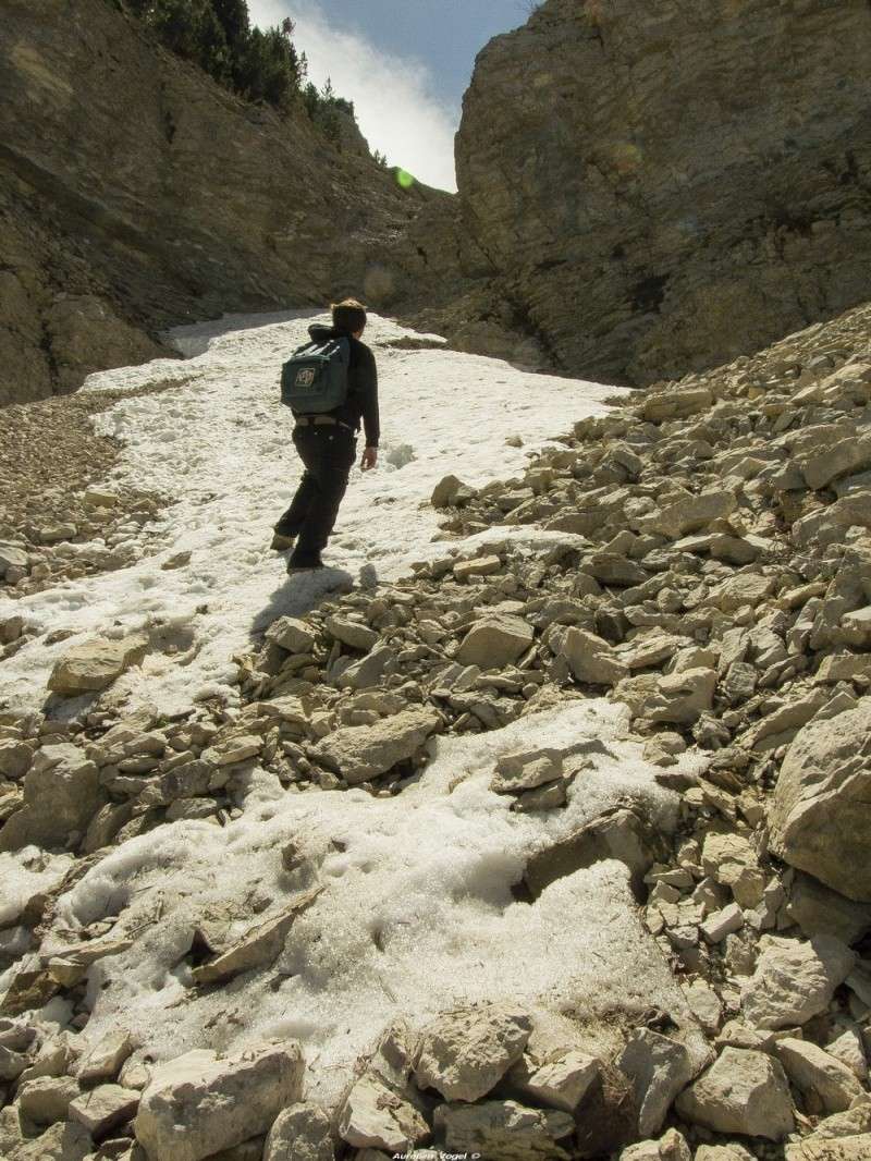 Mont Ventoux - 12 Mai 2014 P1160010