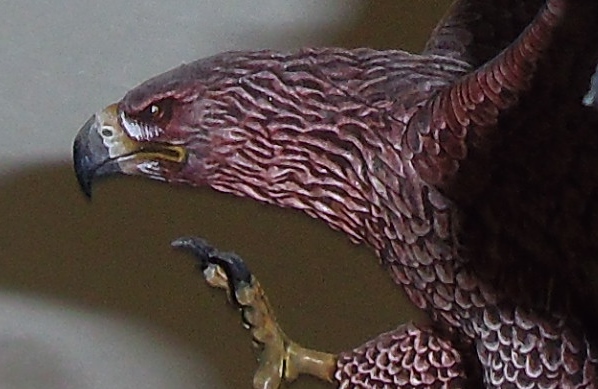 [TUTO] Peindres les Grands Aigles du Hobbit Wtsz10