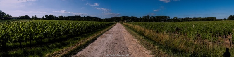 Marais des Bords de Garonne Panora11