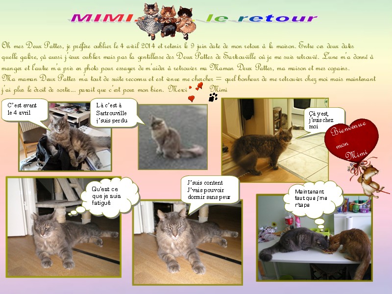 Mimi disparue le 4 avril 2014 - Page 4 Mimi_910