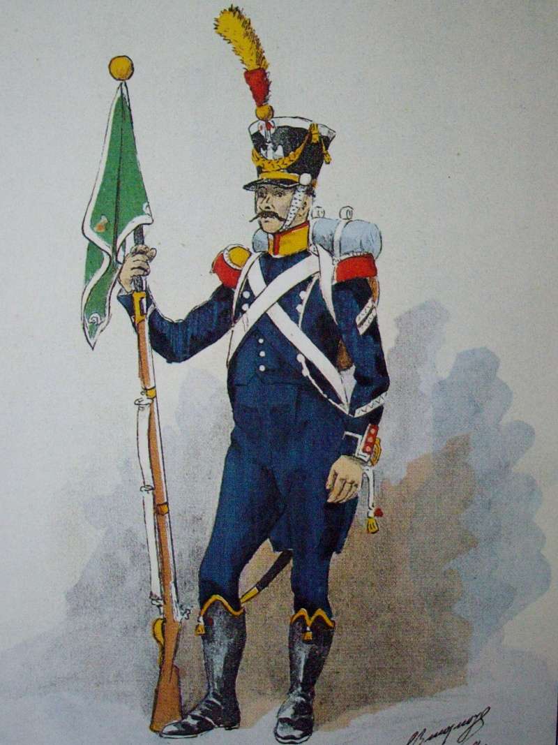 Drapeau des fusiliers chasseurs français Voltig11