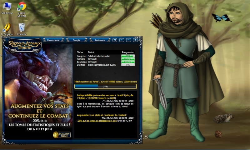 Les maintenances de lotro - Page 2 Bug_110