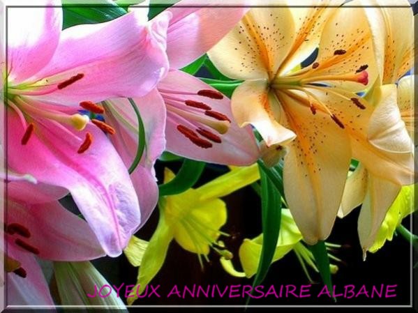 Bon anniversaire Albane ! 4acba110