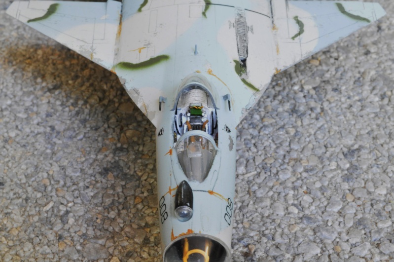 Battle SU-37 Berkut !  Darkmanu (alias le gendarme de st tropez) VS Freed-rick (alias Pinot simple flic)  FINI LE 30-06-2014 - Page 8 Dsc_0019