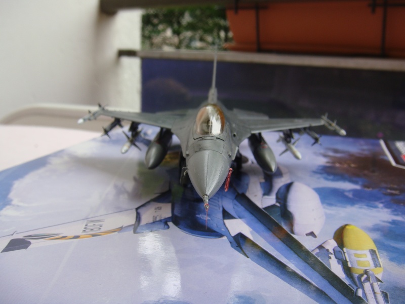 F 16C AIR NATION GUARD  Dsc04411