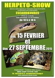 Herpeto-Show  Escaudoevres Tylych28