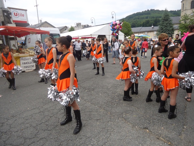 fete de la charcuterie a  Lacaune Tarn 81 06010