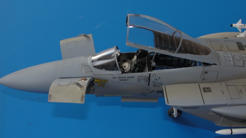 F15C EAGLE  - Tamiya 1/48 Dsc05816