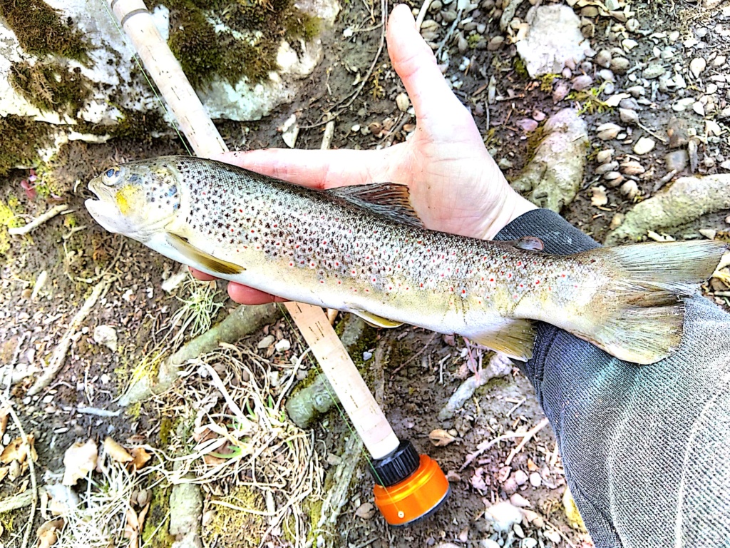 Seconde sortie en rivière de montagne  Camsca15