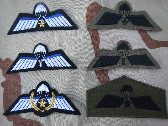  Ripcord's insignia collection Saudi_10