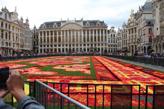tapis de fleurs Bruxelles 2014 Img_5610
