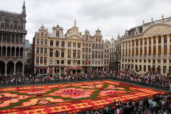 tapis de fleurs Bruxelles 2014 Img_5611