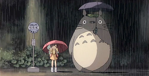 Présentation de Misssimsbeach Totoro10