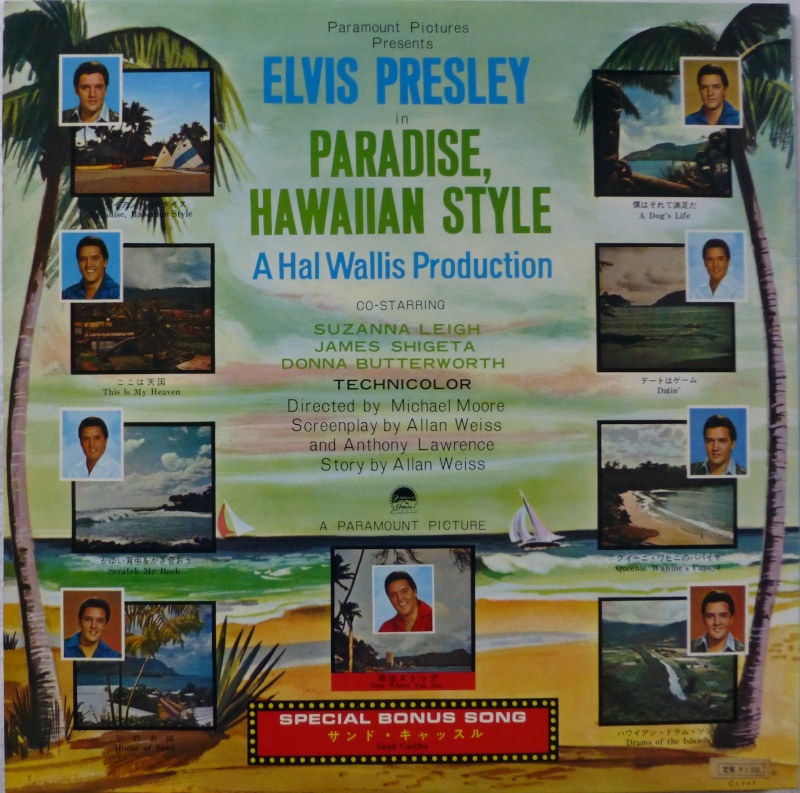 PARADISE, HAWAIIAN STYLE P1040516