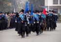 Ставропольские казаки войдут в кадровый резерв администрации 1168