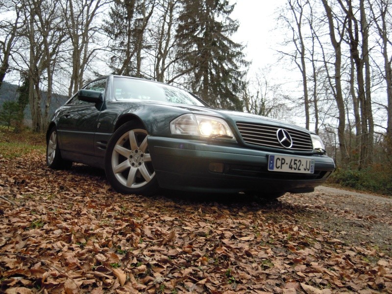 Grand concours Photo "Mercedes d'autome" les candidats en lice Dscn3010